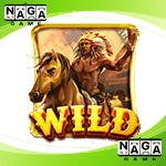 Symbol Wild