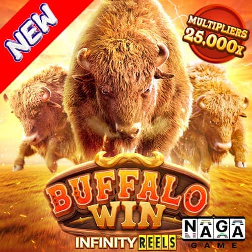 BUFFALO-WIN-ปกนอก