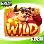 Symbol Wild