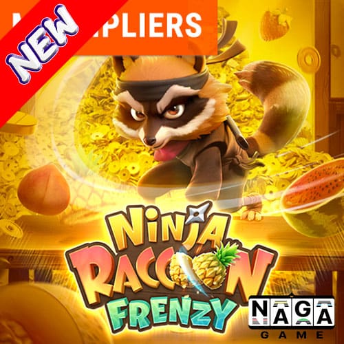NINJA-RACCOON-FRENZY-ปกนอก